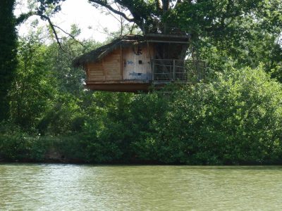 Cabane perchée dans un arbre, au bord dun ruisseau, entourée de verdure luxuriante.