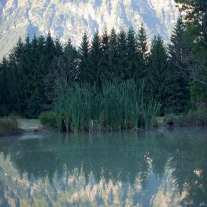 Hébergement insolite en Auvergne-Rhône-Alpes, avec vue sur montagnes et lac paisible.