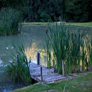 Hébergement insolite en Auvergne-Rhône-Alpes, avec un ponton en bois au bord dun étang.