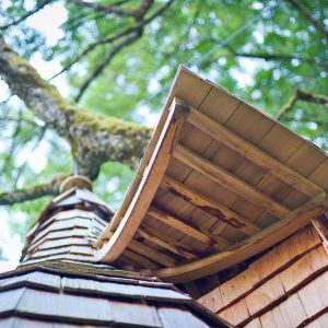 Cabane en bois perchée, toit en pente, entourée darbres verdoyants en Auvergne.