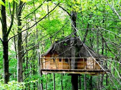 Cabane perchée dans les arbres, entourée de verdure luxuriante en Haute-Normandie.