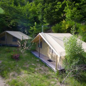 Tentes safari confortables en pleine nature, entourées darbres verdoyants.