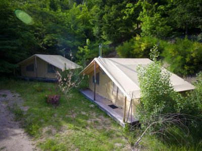 Tentes safari confortables en pleine nature, entourées darbres verdoyants.