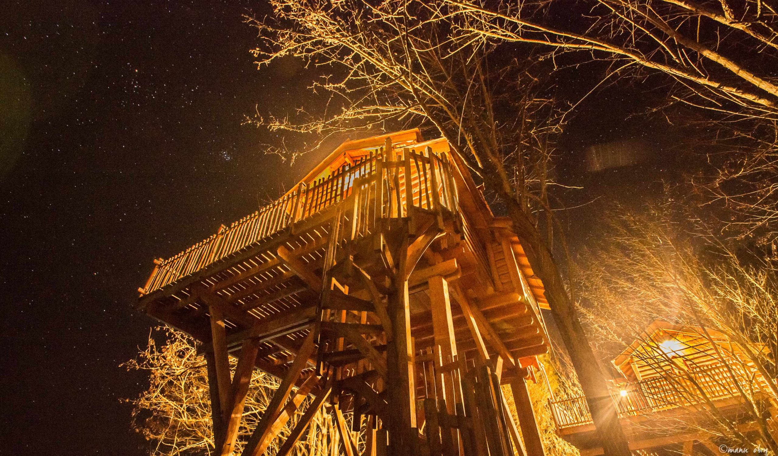 Chateau dans les arbres (16) Cabane perchée en Aquitaine, illuminée sous un ciel étoilé.
