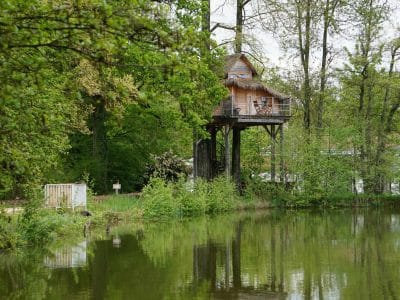 Cabane perchée au bord dun étang, entourée de verdure luxuriante en Auvergne-Rhône-Alpes.