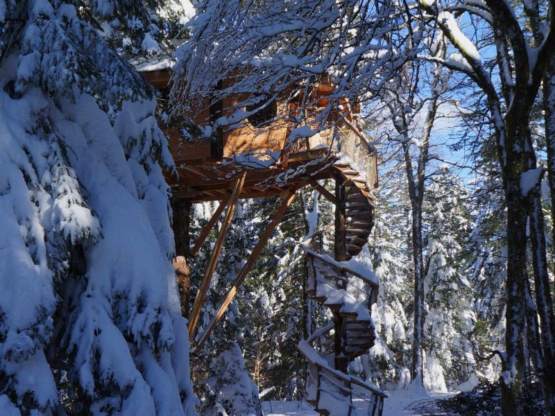 Cabane dans les arbres enneigée, entourée de sapins majestueux et dun ciel bleu.