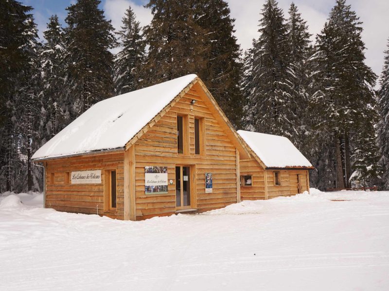Chalet en bois au milieu de la neige, entouré de grands sapins.