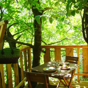 Cabane perchée dans les arbres, table en bois entourée de verdure luxuriante.