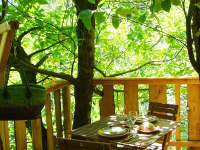 Cabane perchée dans les arbres, table en bois entourée de verdure luxuriante.