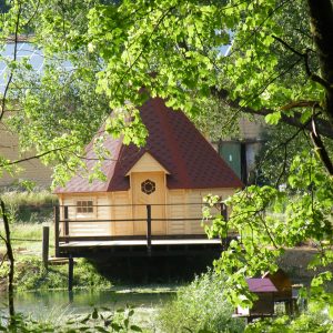 Cabane en bois sur pilotis, entourée de verdure, au bord dun étang paisible.
