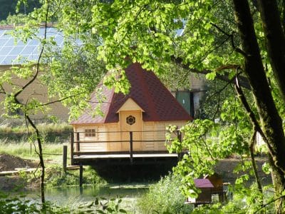 Cabane en bois sur pilotis, entourée de verdure, au bord dun étang paisible.