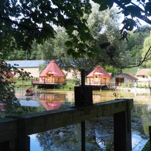 Hébergement insolite en cabanes sur leau, entouré de verdure paisible.