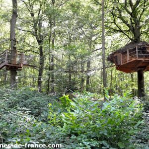 Cabane perchée dans les arbres, entourée de verdure luxuriante en Haute-Normandie.