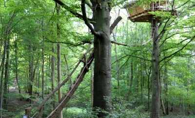 Cabane Le Berceau