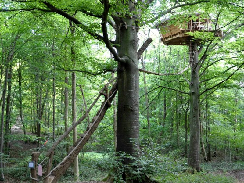 Cabane perchée dans les arbres, entourée de verdure luxuriante en Haute-Normandie.