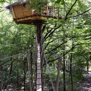 Cabane perchée dans les arbres, accessible par une passerelle en bois, entourée de verdure.
