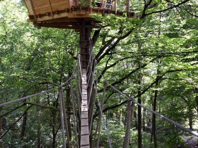 Cabane perchée dans les arbres, accessible par une passerelle en bois, entourée de verdure.