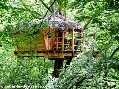 Cabane perchée dans les arbres, entourée de feuillage verdoyant en Haute-Normandie.