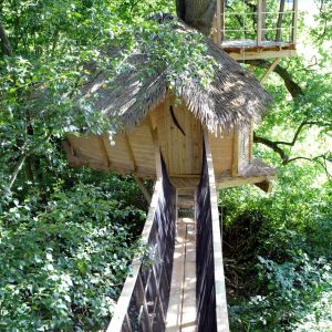 Cabane dans les arbres en Haute-Normandie, avec un toit en chaume et passerelle suspendue.