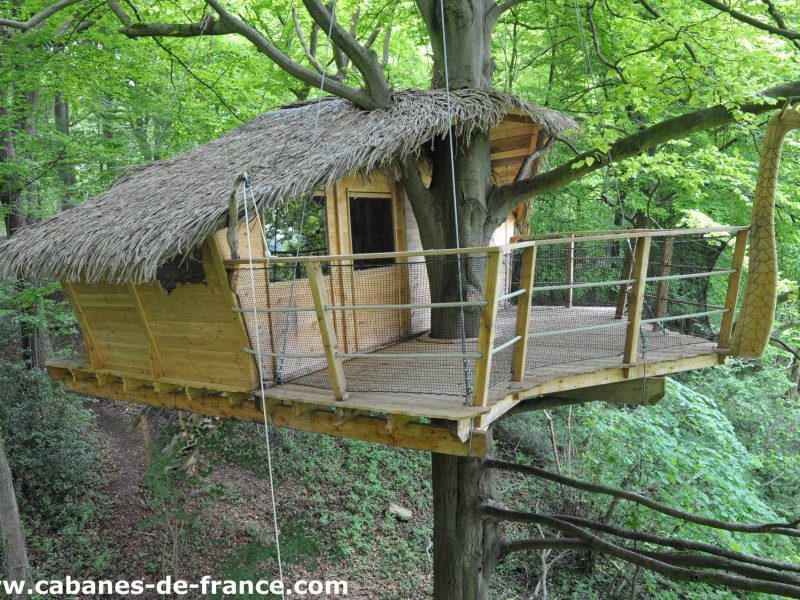 Cabane perchée dans les arbres, toit de chaume, entourée de verdure luxuriante.