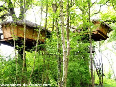 Cabane perchée dans les arbres, entourée de verdure luxuriante en Haute-Normandie.