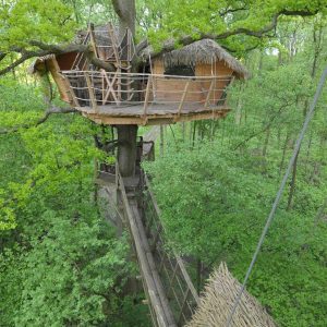Cabane perchée dans un arbre, entourée de verdure luxuriante en Haute-Normandie.