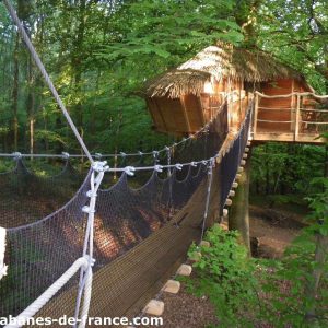 Cabane perchée dans les arbres, accessible par un pont suspendu en pleine forêt.