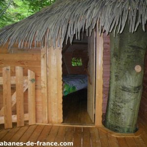 Cabane en bois dans les arbres, avec un toit en chaume et un tronc darbre intégré.