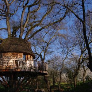 Cabane perchée dans un arbre, avec un toit en chaume et un balcon en bois.