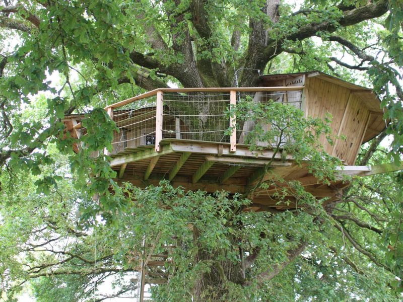 Cabane dans les arbres, perchée dans un chêne, offrant une vue imprenable sur la nature.