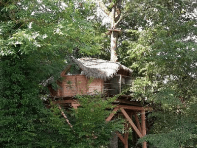 Cabane perchée en bois, entourée darbres verdoyants en Auvergne-Rhône-Alpes.