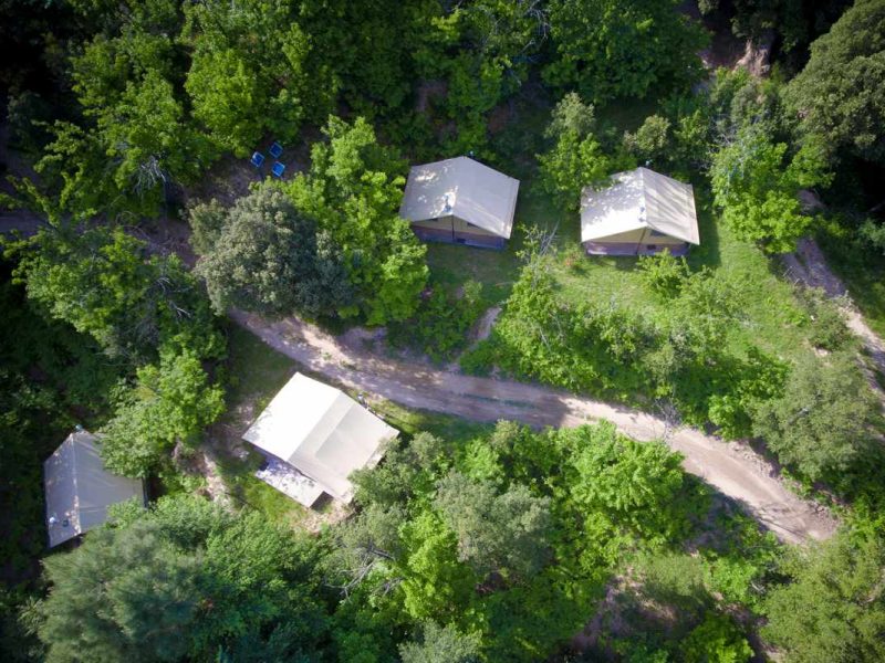 Cabanes en pleine nature, entourées darbres, offrant un cadre paisible et verdoyant.