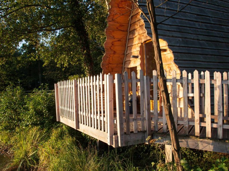Cabane en bois perchée au bord de leau, entourée de verdure en Auvergne-Rhône-Alpes.