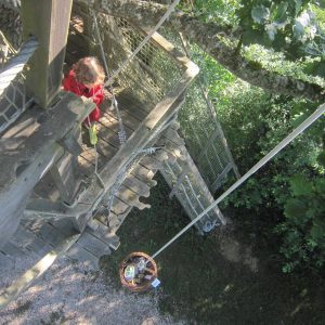 Cabane perchée dans les arbres, avec un enfant jouant sur une plateforme en bois.