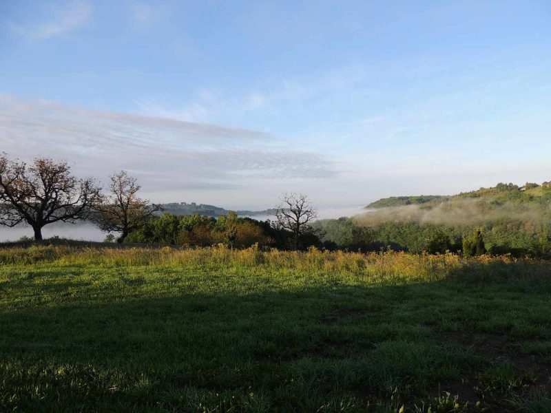 Gîte rural avec vue panoramique sur la vallée brumeuse et arbres en arrière-plan.