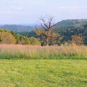 Hébergement insolite en pleine nature, avec vue sur les collines verdoyantes du Limousin.