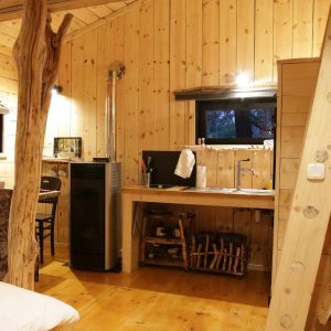 Cabane en bois à Bourgogne-Franche-Comté, avec un intérieur chaleureux et un poêle.