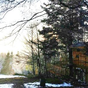 Cabane perchée en bois, entourée de sapins et de neige scintillante en Bourgogne-Franche-Comté.