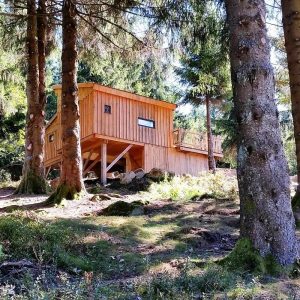 Cabane en bois sur pilotis, nichée entre les arbres en Bourgogne-Franche-Comté.