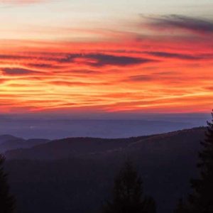 Coucher de soleil sur un hébergement insolite en cabane perchée en Bourgogne-Franche-Comté.
