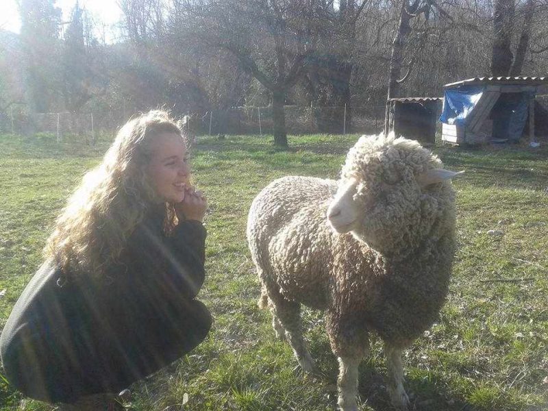 Chalet rural avec une jeune femme et un mouton dans un cadre verdoyant.