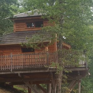 Cabane perchée en bois, entourée darbres verdoyants en Aquitaine.
