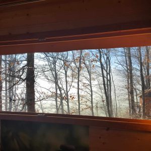 Cabane perchée en Aquitaine, vue dégagée sur la forêt brumeuse.