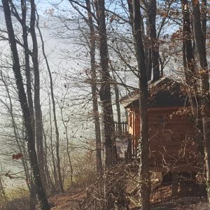 Cabane en bois perchée, entourée darbres, offrant une vue sur la brume matinale.
