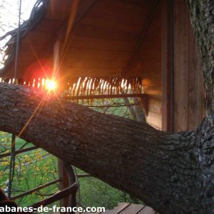 Cabane dans les arbres en Haute-Normandie, avec un coucher de soleil lumineux.
