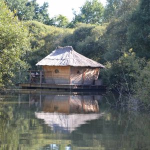 Cabane sur pilotis au bord de leau, entourée de verdure luxuriante.