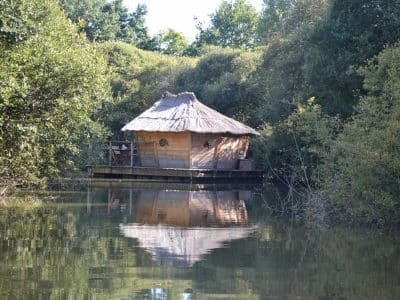 Cabane sur pilotis au bord de leau, entourée de verdure luxuriante.