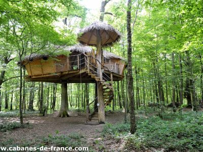 Cabane dans les arbres en Haute-Normandie, perchée au milieu dune forêt verdoyante.