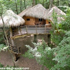 Cabane perchée en bois dans les arbres, avec toit de chaume et balcon.