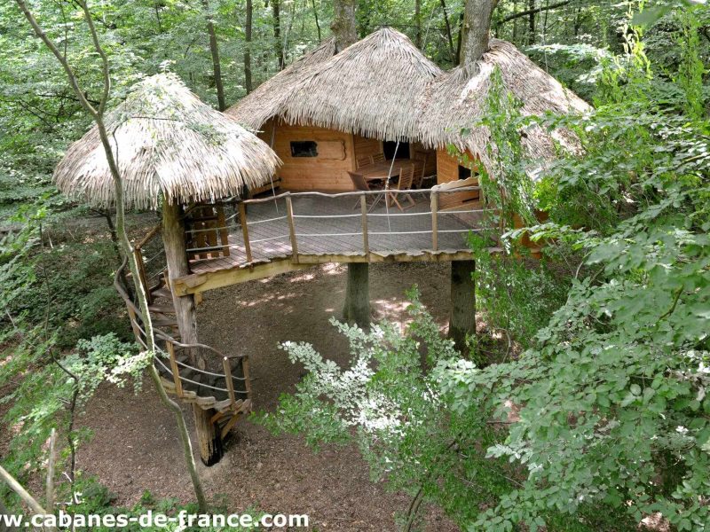 Cabane perchée en bois dans les arbres, avec toit de chaume et balcon.